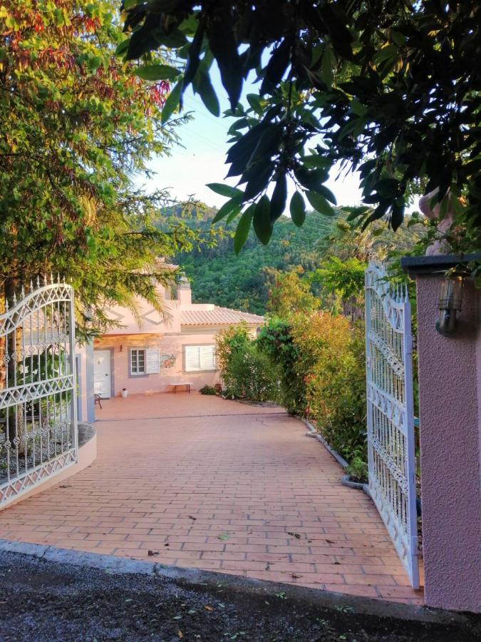 Вілла Casa Loureiro - Vista Rio Douro Резенде Екстер'єр фото