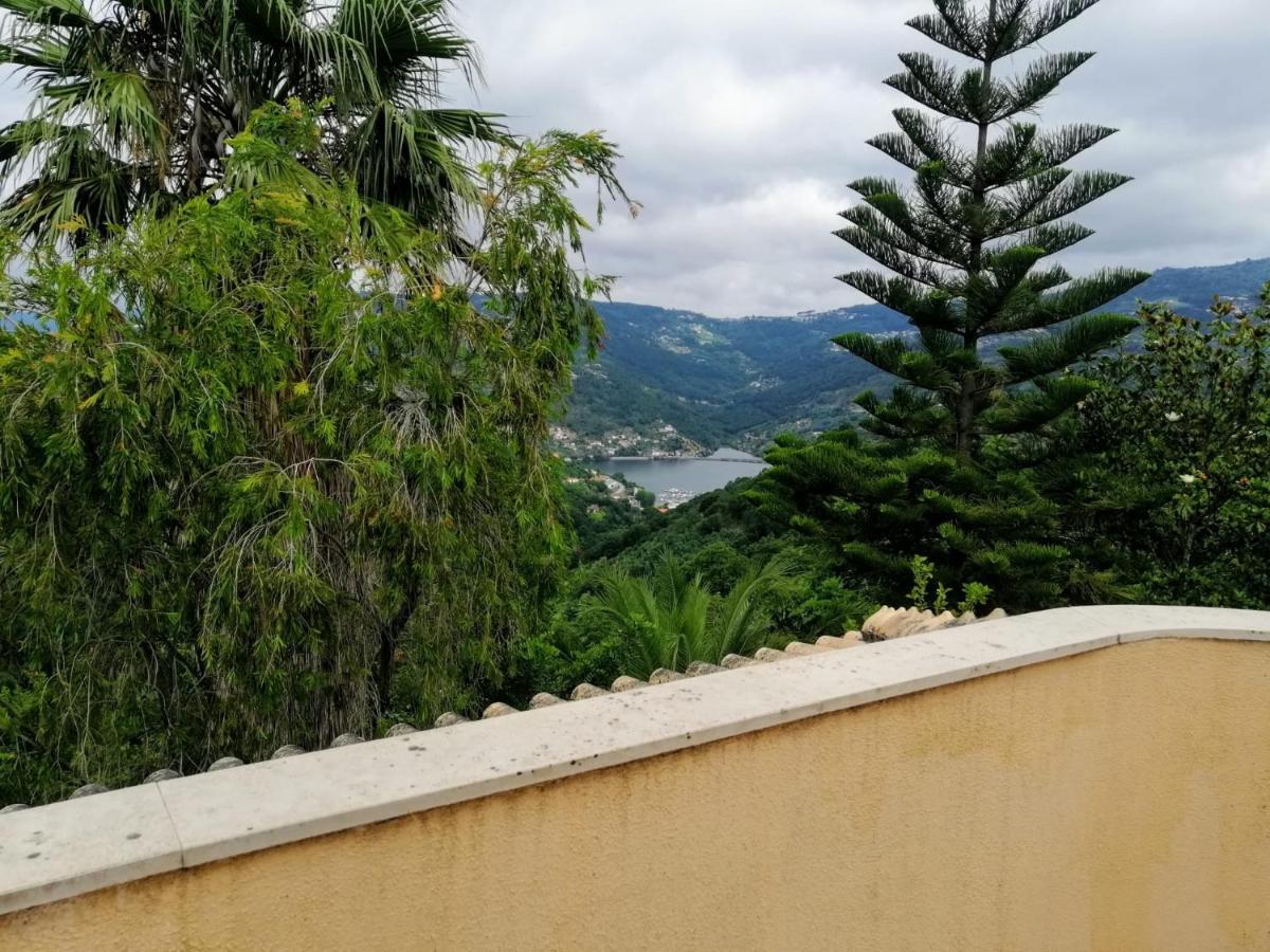 Вілла Casa Loureiro - Vista Rio Douro Резенде Екстер'єр фото